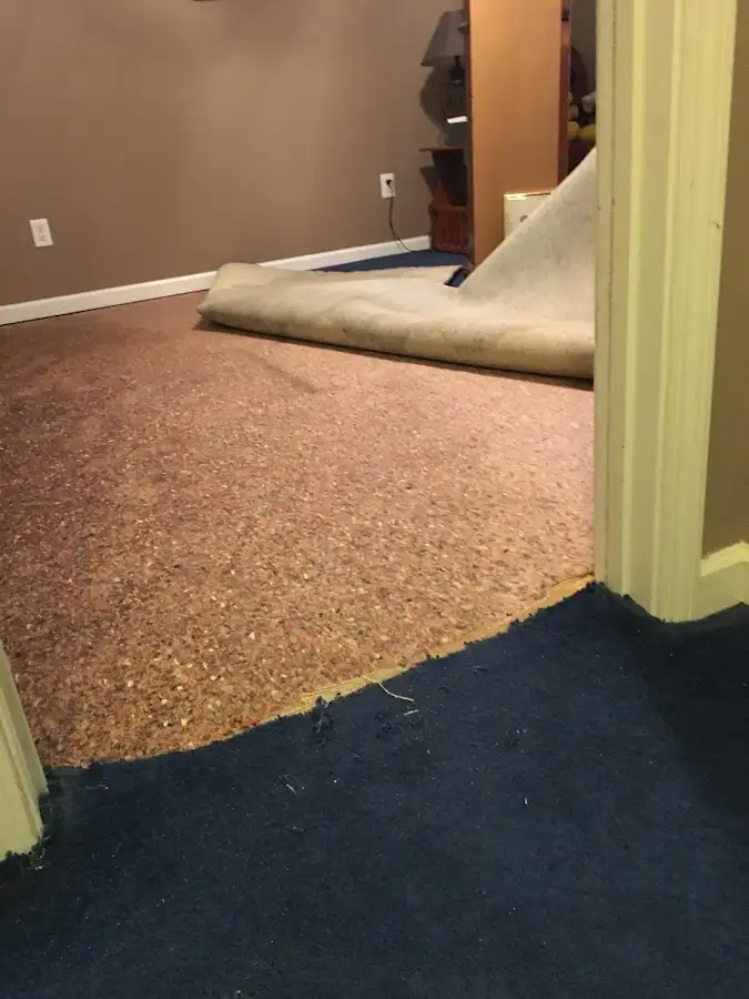 Carpet pad removal revealing water damage during Water Mitigation Services in Belchertown